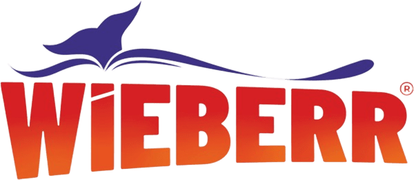 Platinum Sponsor Sponsor